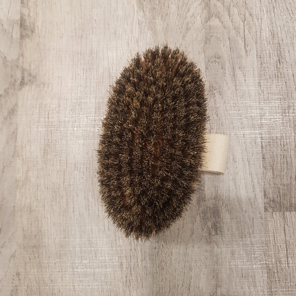 comment faire un brossage a sec